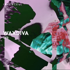Intercell.075 - Waxdiva