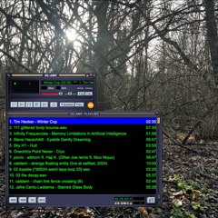 2025 winter ambient mix