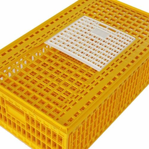 plastic cages [PROD. HICARTEL]