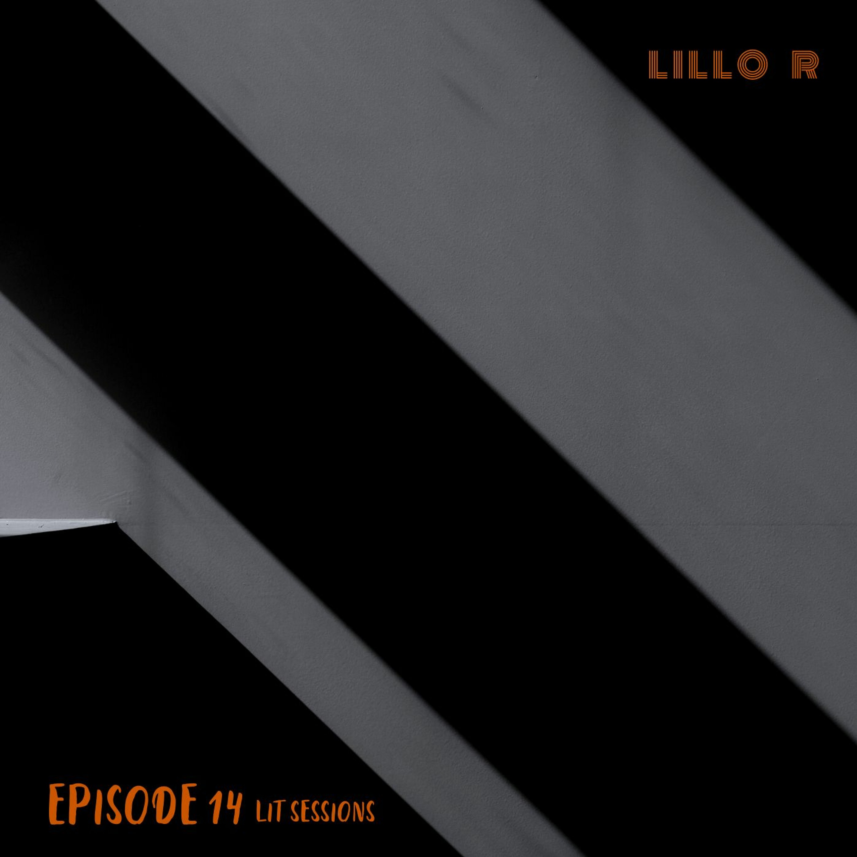 Lit Sessions # 15 Minimal