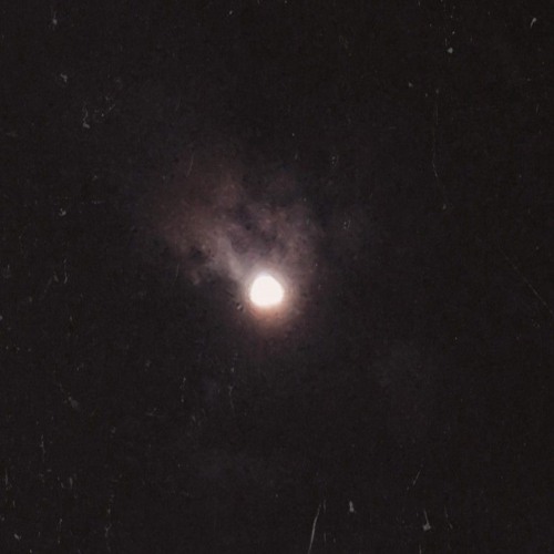 Saleck - Ye Rozi