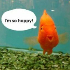 passenger of shit - fish head intro