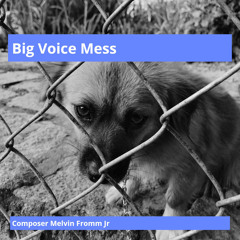 Big Voice Mess