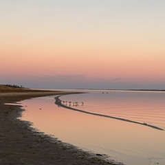 大泫 - 靜悄悄EDM Cover( Priscilla Abby 蔡恩雨 )