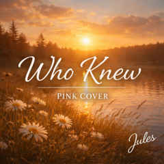 Who Knew - Pink Cover