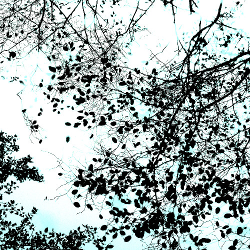 Autumn Wind (naviarhaiku563)