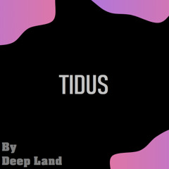 Guest Mix 013 - Tidus