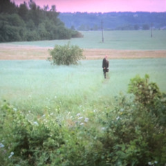 DON’T SHOOT THE WARTHOG