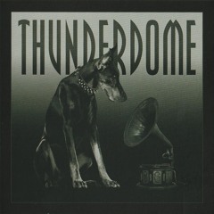 Thunderdome - Vinyl Series
