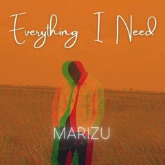 Marizu - Everything I need