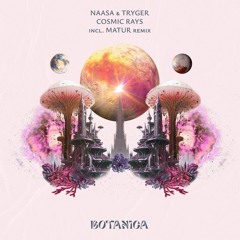 Cosmic Rays (Original Mix) [Botanica]