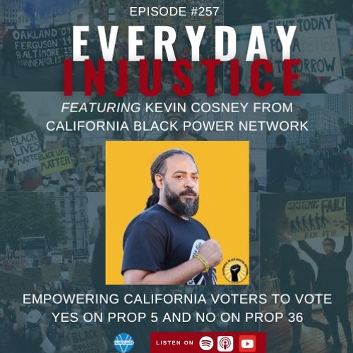 Everyday Injustice Podcast #257: Affordable Housing and Mass Incarceration on the California Ballot