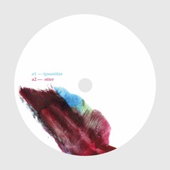 Premiere: A2 - Curlyheads - Otter [SHSH002]