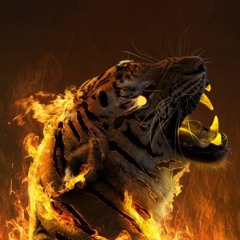 Tiger2022