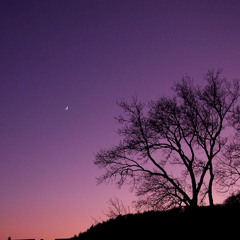 ANOCHECER ( Versión Piano )