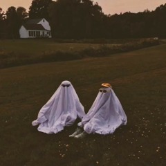 Dandelions cr:nadasaudios on ig