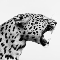 🐆