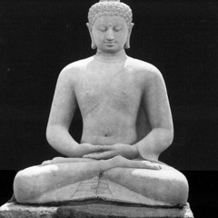 SOUL CAMERA(NAKED)WL MX