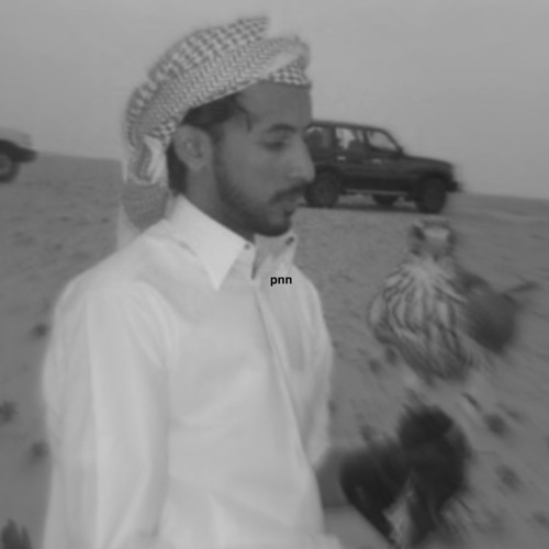 محمد بن فطيس - 2
