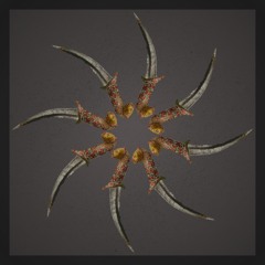 Depth Technique featuring J. Aswell