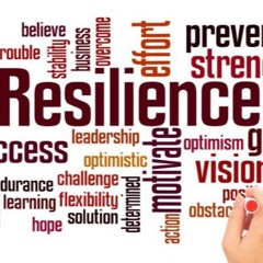 PAUSE SANTE - La Résilience (Lundi 13 Janvier 2025)