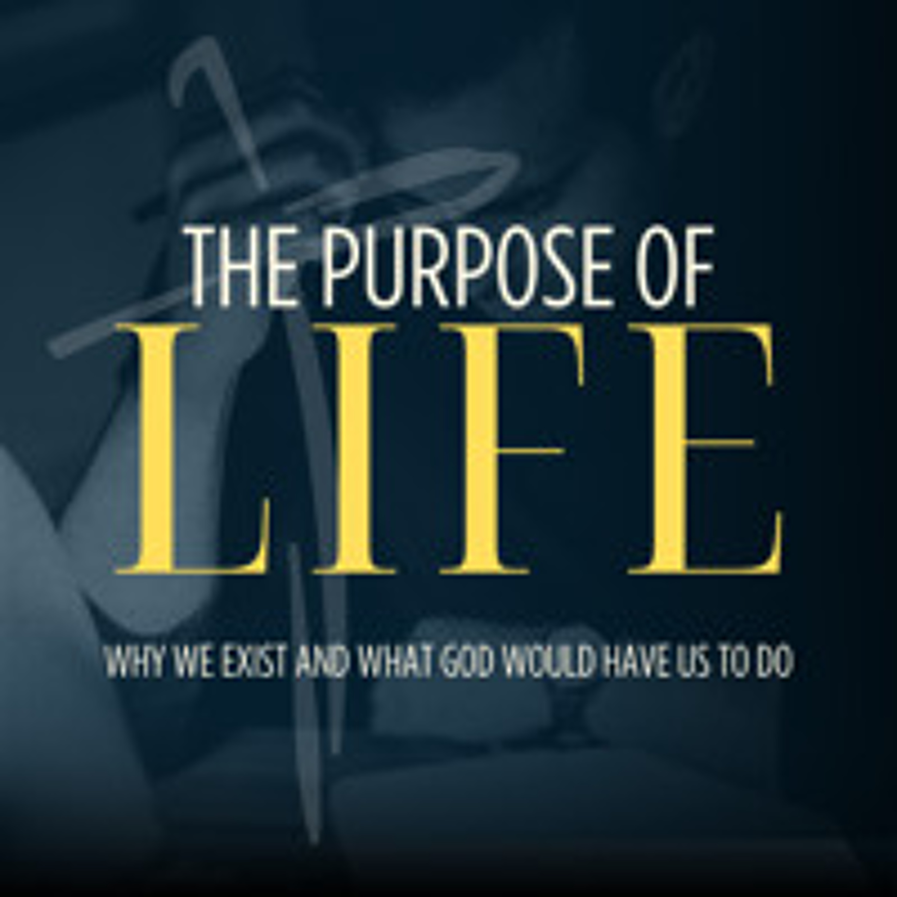 The Purpose of Life Week 4