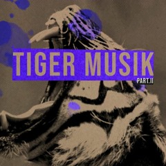 Tiger Musik - Only Hypnotical Records  Geometrical Records