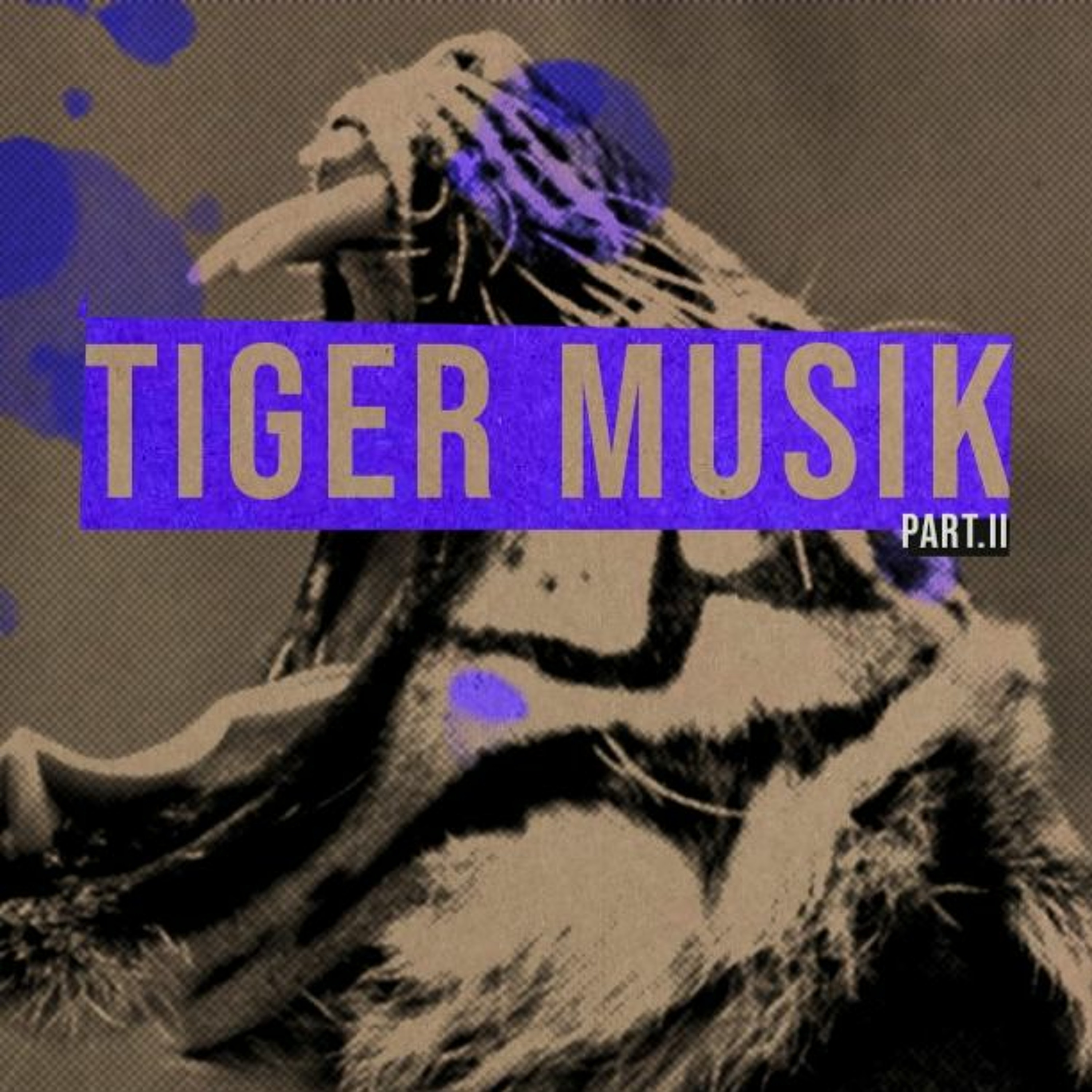 Portada de Tiger Musik