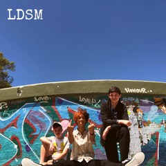 Chamber Of Reflection (LDSM Cover)