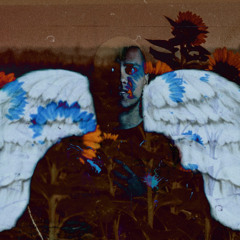 Lil Darkie - fly away (slowed) prod.wendigo