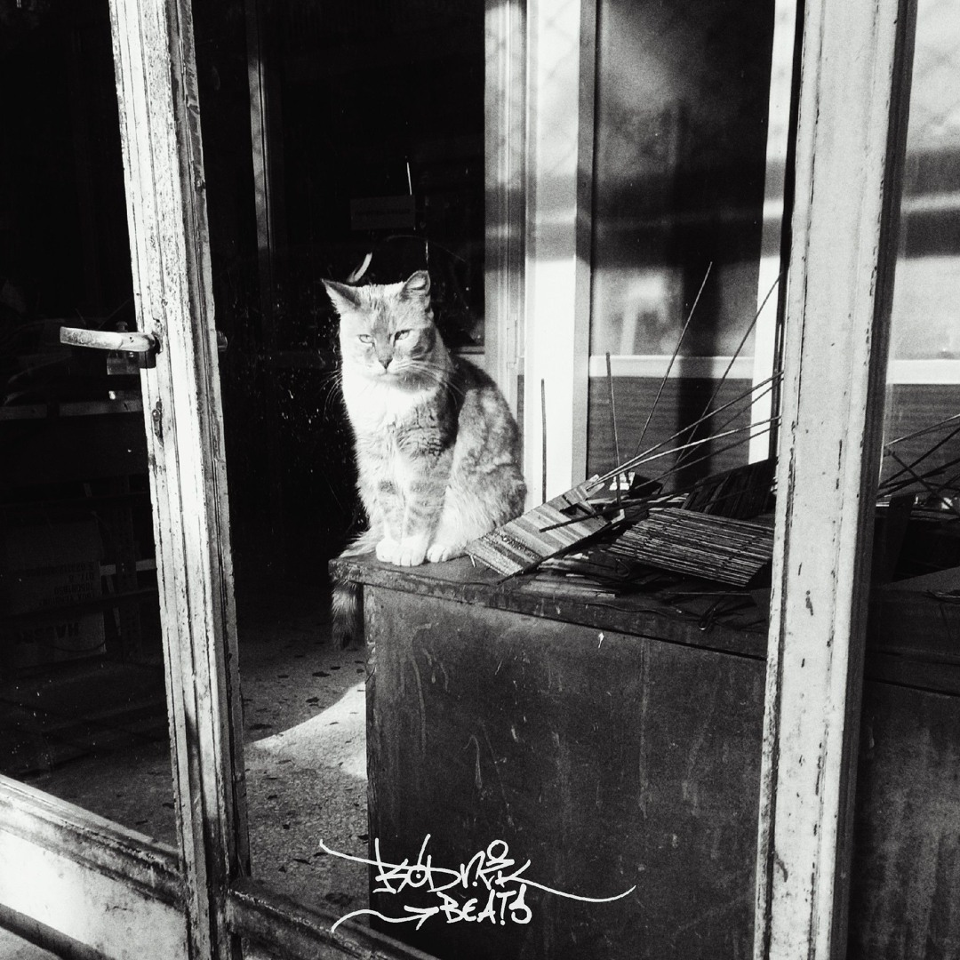 Stream Ritter's method [X] by Kodnik Beats (mk 3) | Listen online for ...