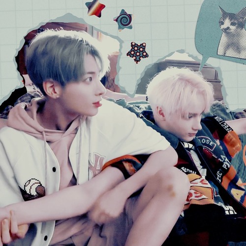 3005 (parkinson white flip)