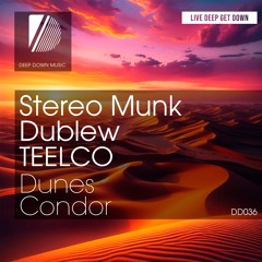 DD036: Stereo Munk, Dublew, TEELCO - Dunes