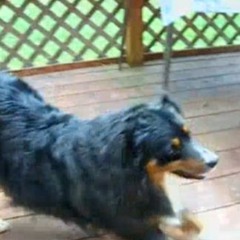 inca died