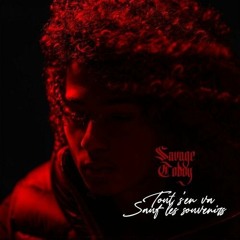 savage toddy- tout s'en va sauf les souvenirs