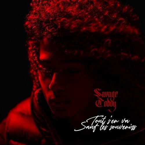 savage toddy- tout s'en va sauf les souvenirs