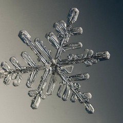 Snoflake Snowflake In The Air