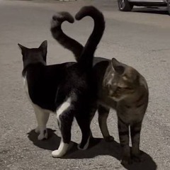 Просто любовь .mp3