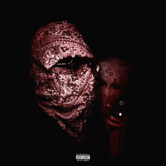 Bodi Lifestyle Lately