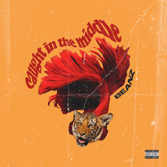 Caught in the Middle