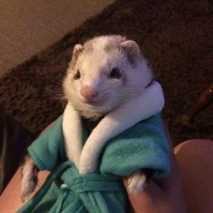 Konoi - Oh My Gaw (drumbaixo)