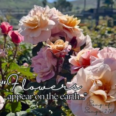 Scripture Songs