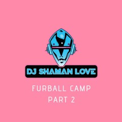 Furball Camp 2024 part 2