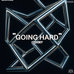 2Passey - GOING HARD (Free DL<3)