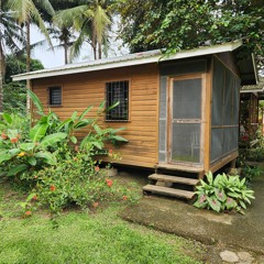 San Ignacio, Belize, bird sounds