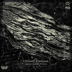 I've Lost My Mind V.A Cosmic Enigma by Khnum