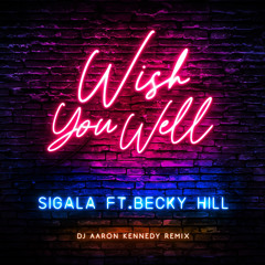 Wish You Well - Sigala Ft. Becky Hill (Dj Aaron Kennedy Remix)