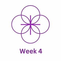 Week 4