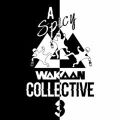A Spicy Wakaan Collective 3