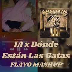Clarent, Nicky Jam, Daddy Yanke - IA x Donde Están Las Gatas (FLAVO Mashup)